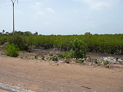 Banjul, die Hauptstadt von Gambia, serekunda highway