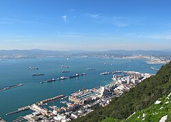 Gibraltar, die Hauptstadt von Gibraltar, barbary macaque