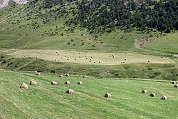 Landschaft in Andorra, entre coll d ordino e canillo