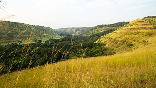 Landschaft in Angola, lwange river valley