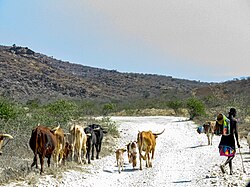 Landschaft in Angola, pungo andongo malange
