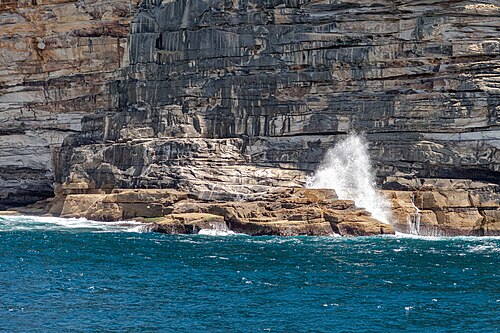 Landschaft in Australien, sydney au coast fur seals