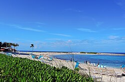 Landschaft in Bahamas, paradise island one beautiful gardens