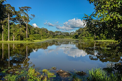 Landschaft in Bangladesch, tanguar haor