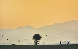 Landschaft in Bangladesch, village landscape