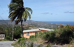 Landschaft in Barbados, beach