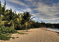 Landschaft in Barbados, karibik farley hill house park panoramio