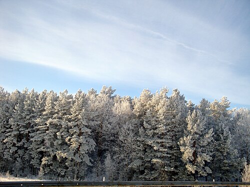 Landschaft in Belarus, winter highway panoramio