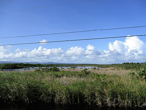 Landschaft in Belize, paisatge prop de hopkins