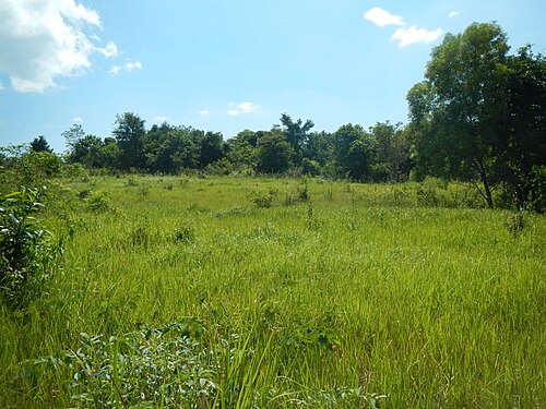 Landschaft in Kambodscha, panoramio