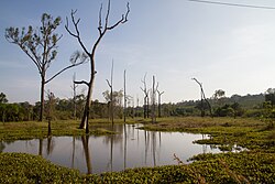 Landschaft in Kambodscha, mondul kiri