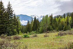 Landschaft in Kanada, banff national park ab bankhead lower bankhead