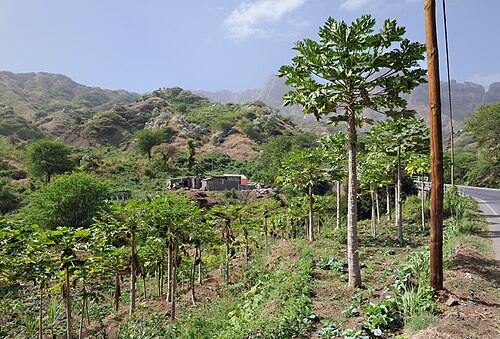 Landschaft in Kap Verde, santiago isle papaya landscape