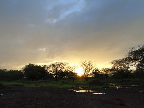 Landscape in Chad, couché de soleil à dandi tchad
