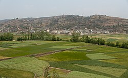 Landschaft in China, yunnan farmer his grainfield