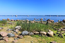 Landscape in Estonia, liquid gold water