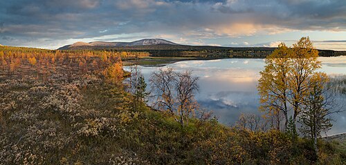 Landschaft in Finnland, to äkäslompolo ylläs fell kolari lapland september