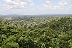 Landschaft in Französisch-Guayana, tropical forest towards cacao
