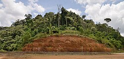 Landschaft in Französisch-Guayana, tropical soil
