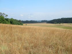 Landschaft in Gabun, savannah grasslands