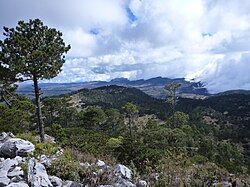 Landschaft in Guatemala, semuc champey