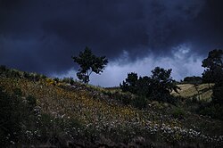 Landschaft in Guatemala, todos santos cuchumatán panoramio