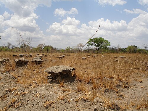 Landschaft in Guinea