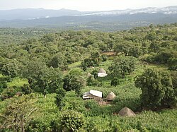Landschaft in Guinea
