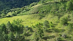 Landschaft in Honduras, montañas en