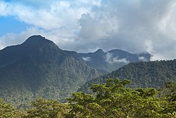 Landschaft in Honduras, pico bonito