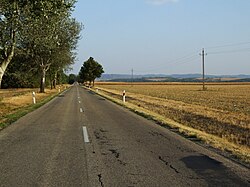 Landschaft in Ungarn, road