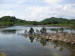 Landschaft in Jamaika, negril