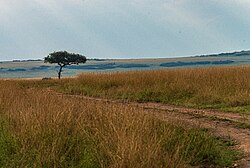 Landschaft in Kenia, 2du