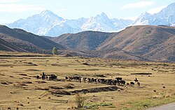 Landscape in Kyrgyzstan, kara kehe open pit coal mine panoramio