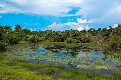 Landschaft in Liberia, africa panoramio