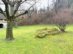 Landschaft in Liechtenstein, lie balzers kirchensträssle
