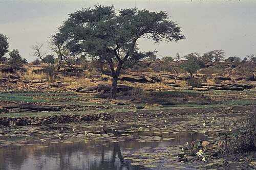 Landschaft in Mali