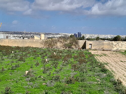 Landschaft in Malta