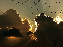Landschaft in Malta, freedom sky