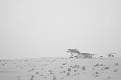 Landschaft in Mauretanien, farm cart countryside