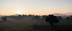 Landschaft in Mexiko, camino y paisaje guanajuato méxico