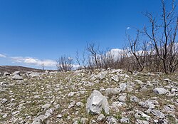 Landschaft in Montenegro, río moraca norte de podgorica dd
