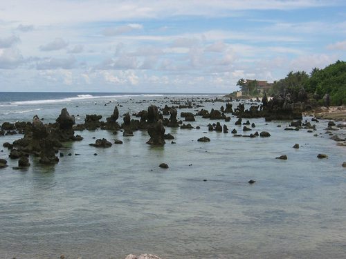 Landschaft in Nauru, coral reef