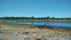 Landschaft in Paraguay, laguna en el chaco