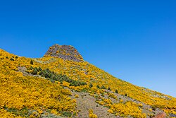 Landschaft in Portugal