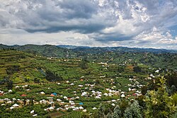 Landscape in Rwanda, nyabarongo river