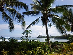 Landschaft in Samoa, tafua peninsula savai i august