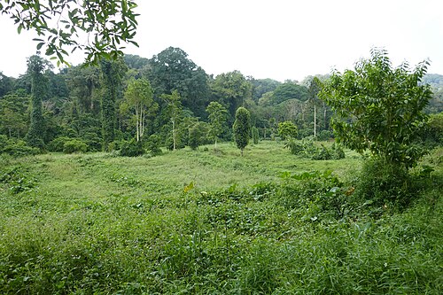 Landschaft in São Tomé und Príncipe, paysage à tomé