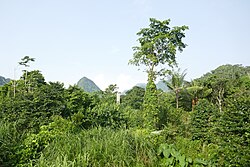 Landschaft in São Tomé und Príncipe, vue depuis la pousada roç bombaim tomé