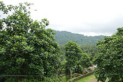 Landschaft in São Tomé und Príncipe, paysage à joão dos angolares tomé